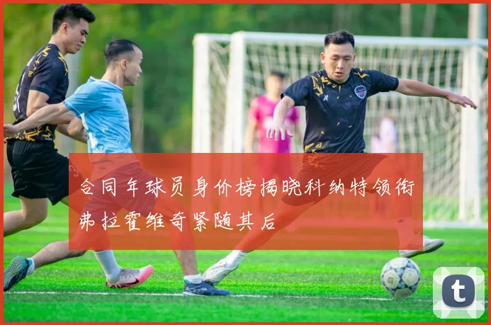 合同年球员身价榜揭晓科纳特领衔弗拉霍维奇紧随其后